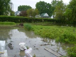 Grumble about the flood or "whatever happens, give thanks" (1 Thess. 5:18)? 