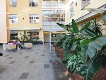 The conservatory in the hospital where my brother successfully survived emergency heart surgery