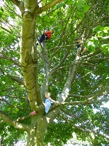 3 of our 6 Grandchildren