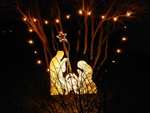 Our yard nativity 2014